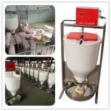 Alimentador Automático para Porco Molhado Seco